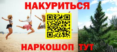 мдпв Камень-на-Оби