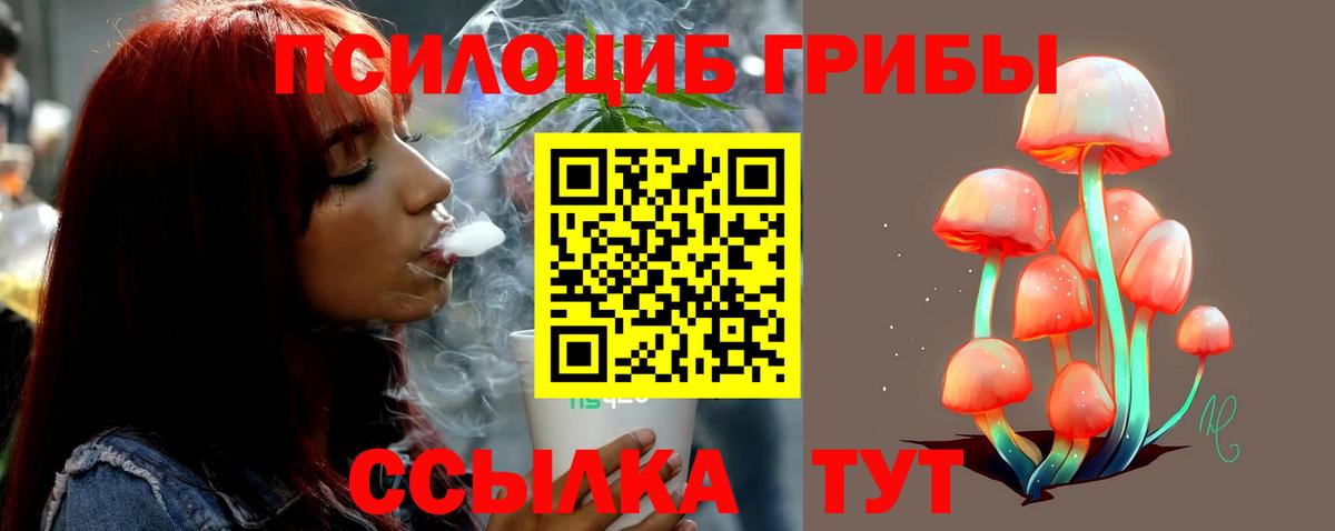 Псилоцибиновые грибы прущие грибы Видное